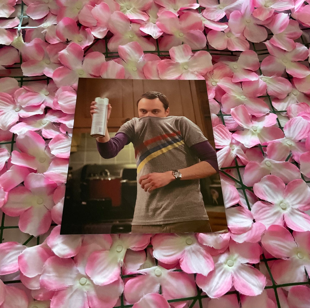Lámina Sheldon Cooper