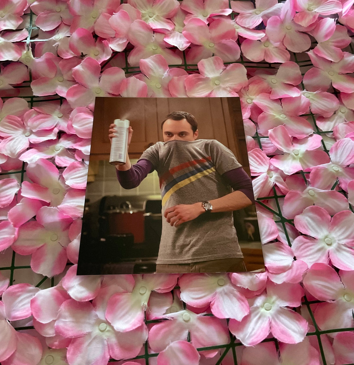 Lámina Sheldon Cooper