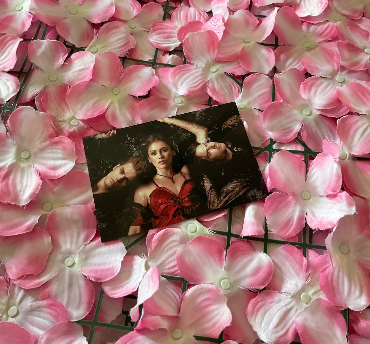 Lámina Postal Vampire Diaries