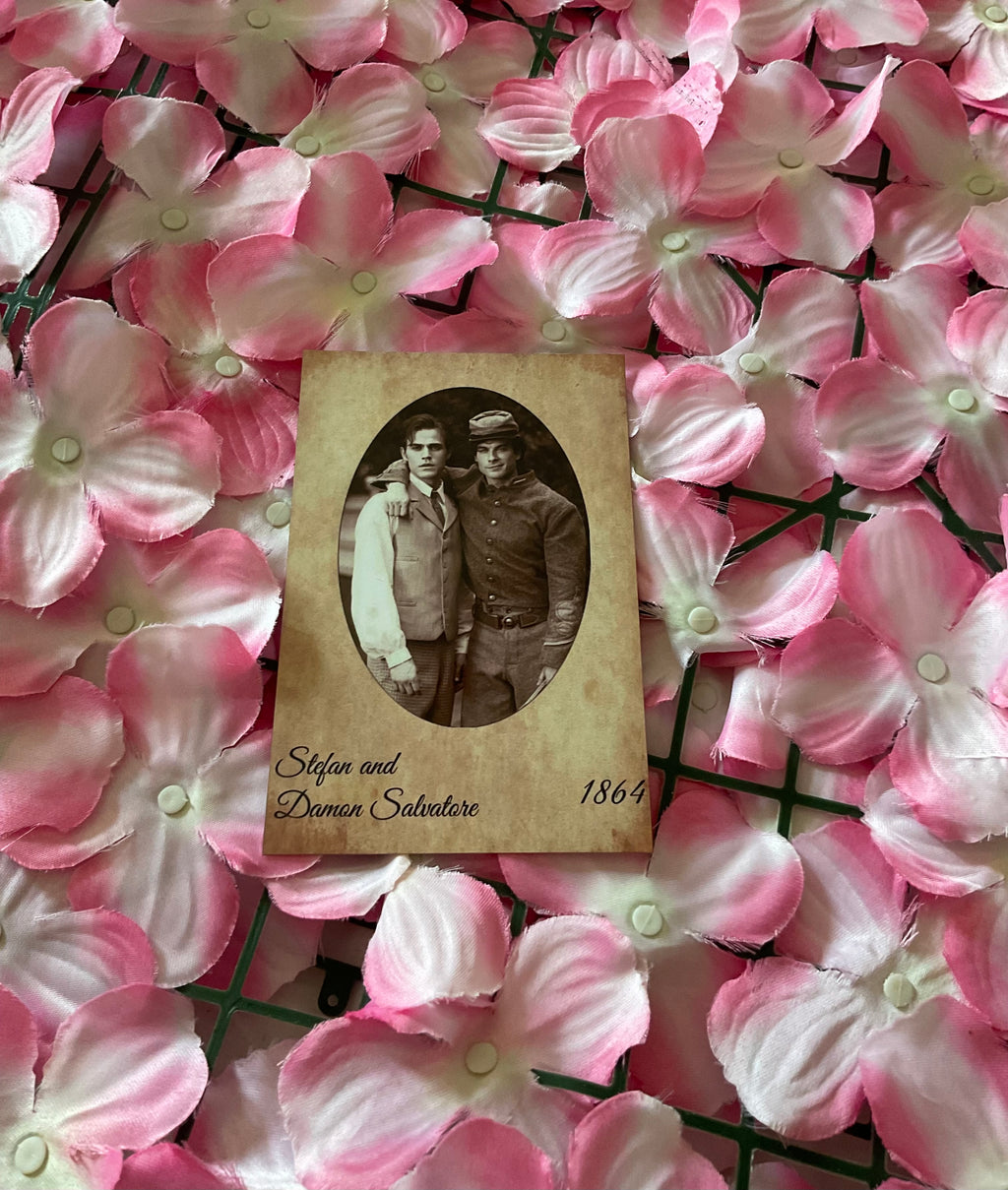 Postal Stefan y Damon Salvatore