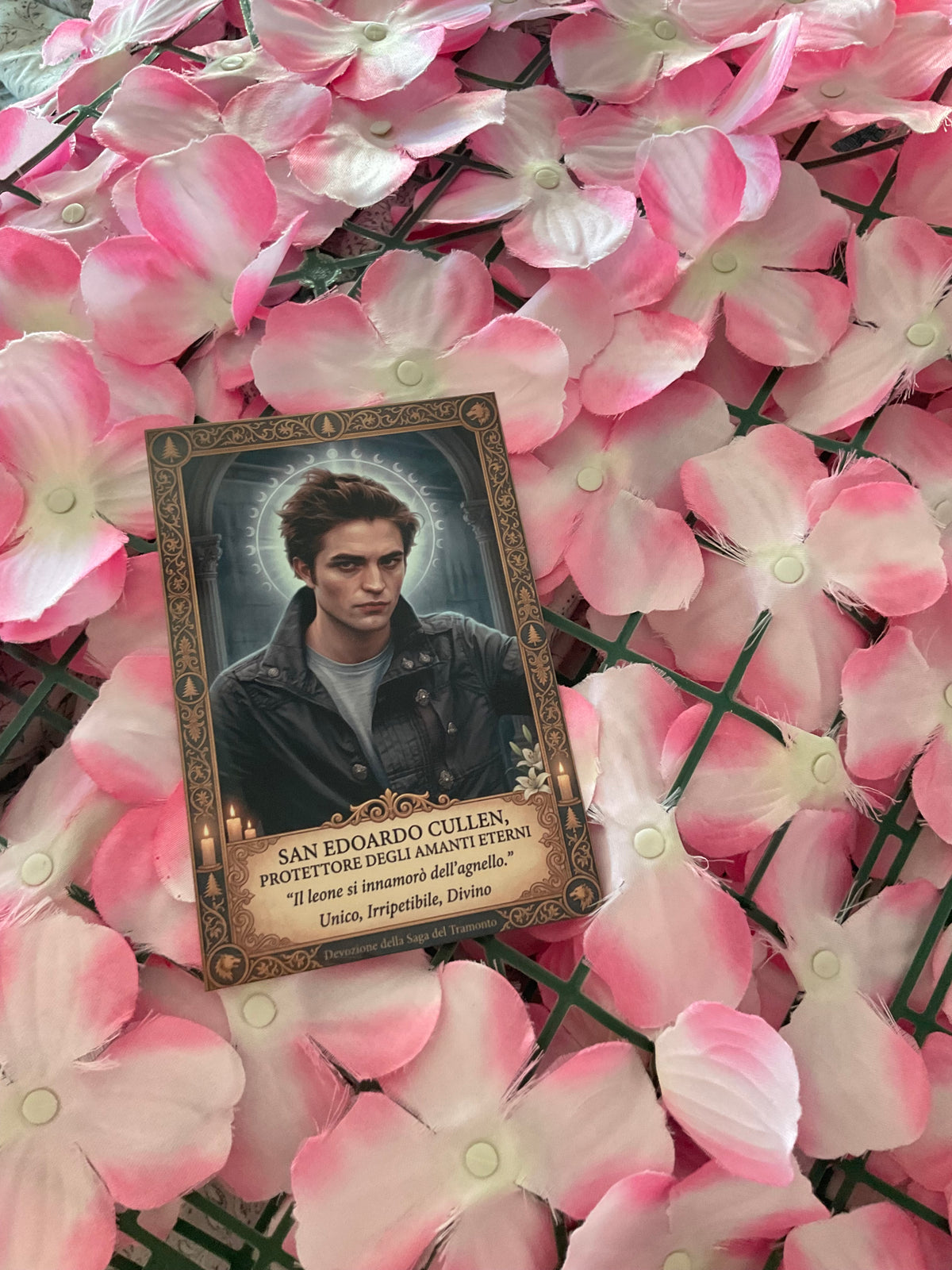Postal Edward Cullen