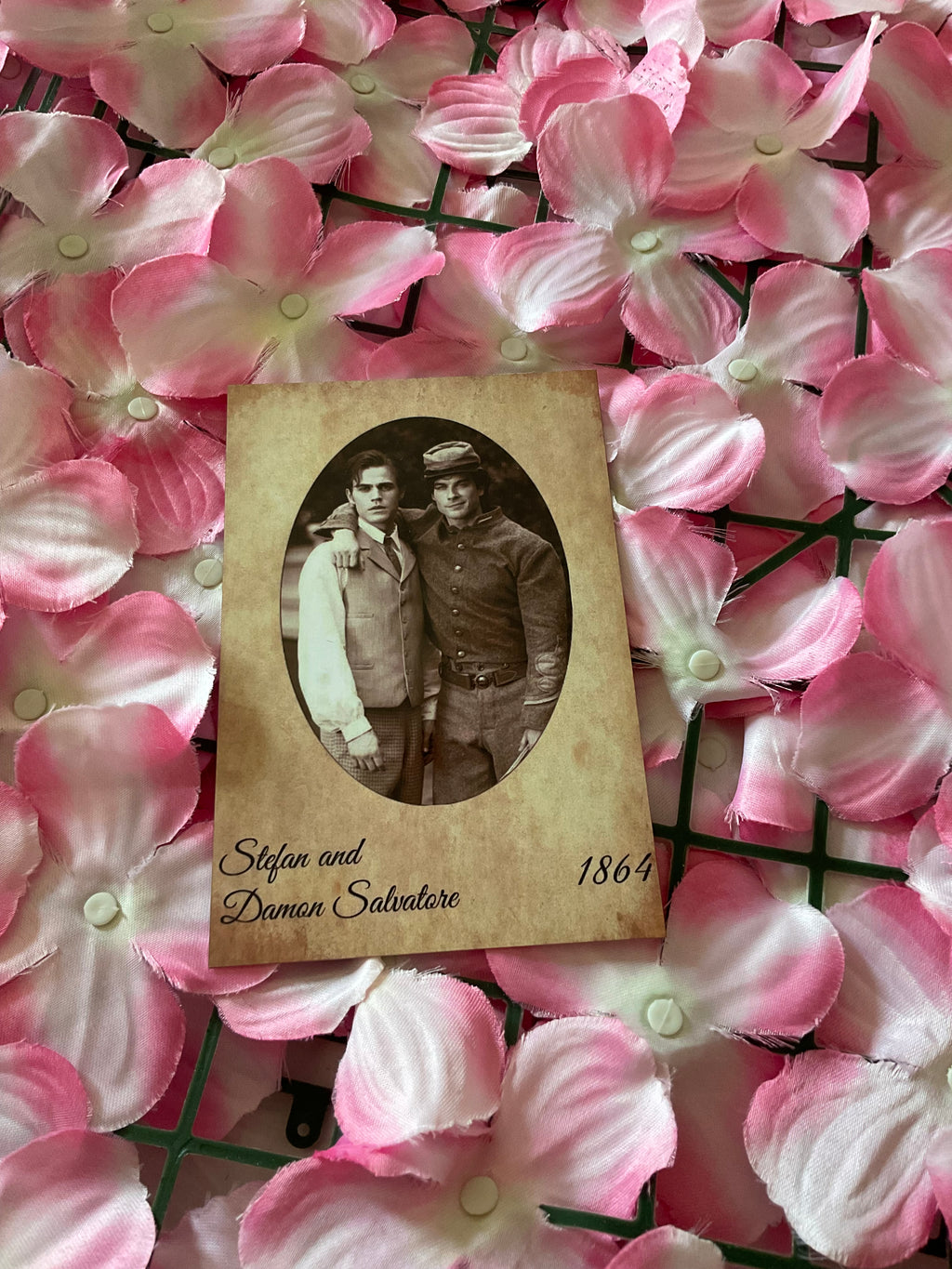 Postal Stefan y Damon Salvatore