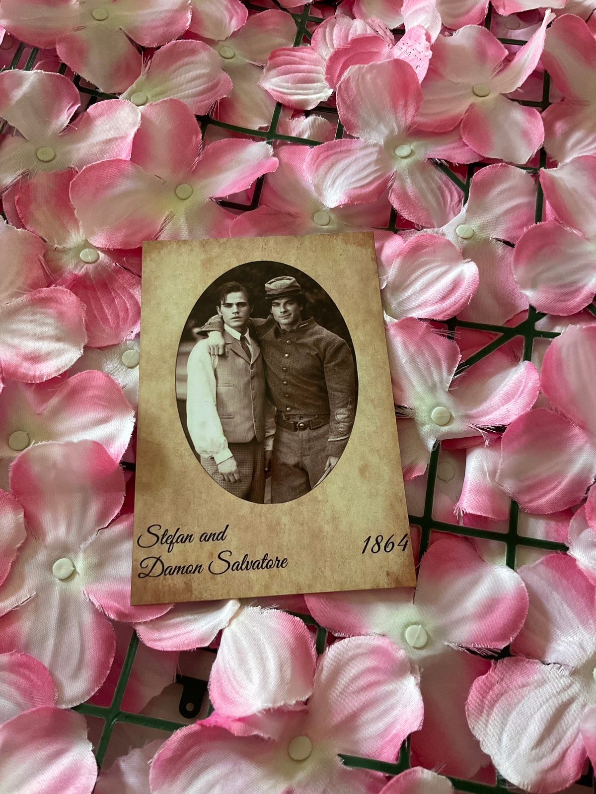 Postal Stefan y Damon Salvatore