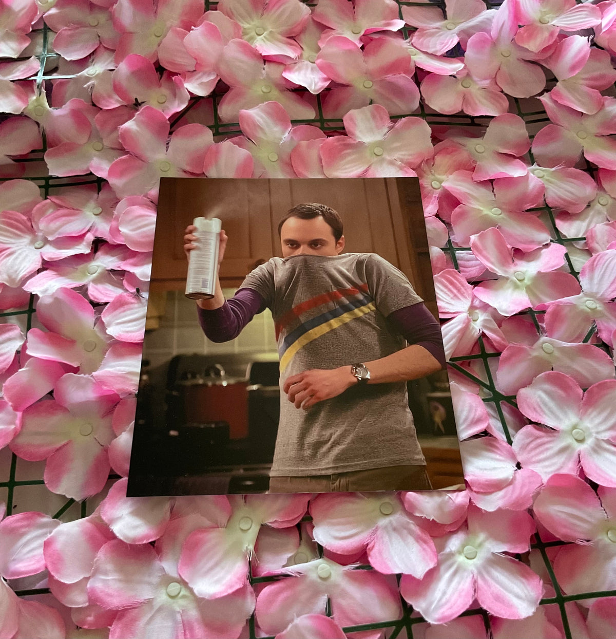 Lámina Sheldon Cooper