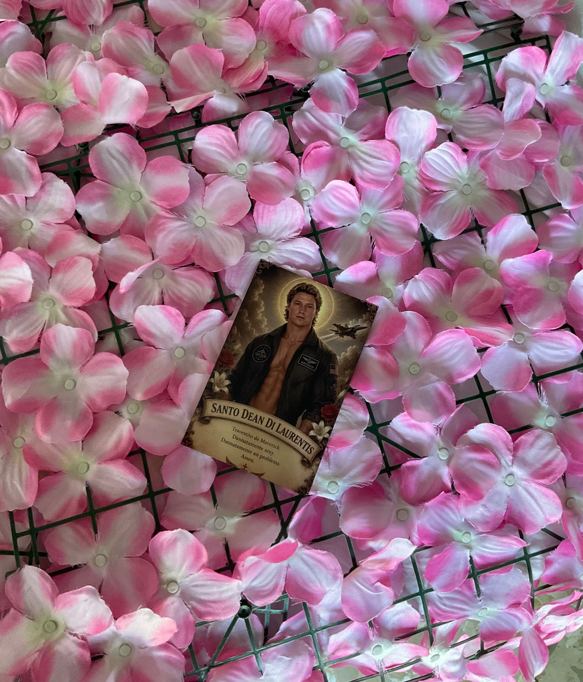 Lámina Postal Dean DiLaurentis