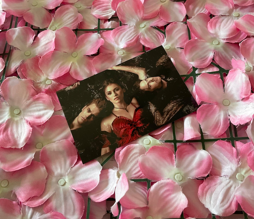 Lámina Postal Vampire Diaries