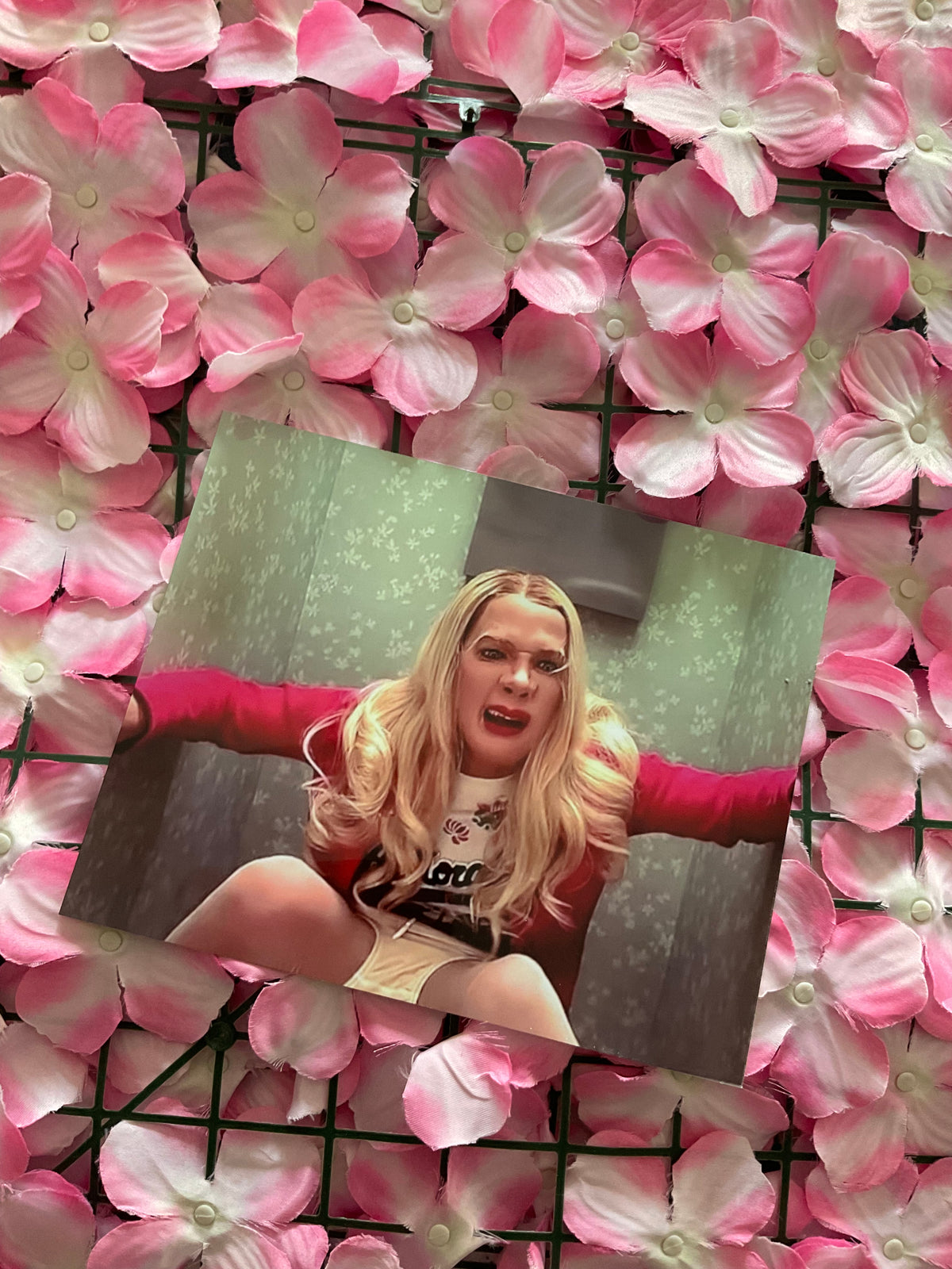Lámina White Chicks
