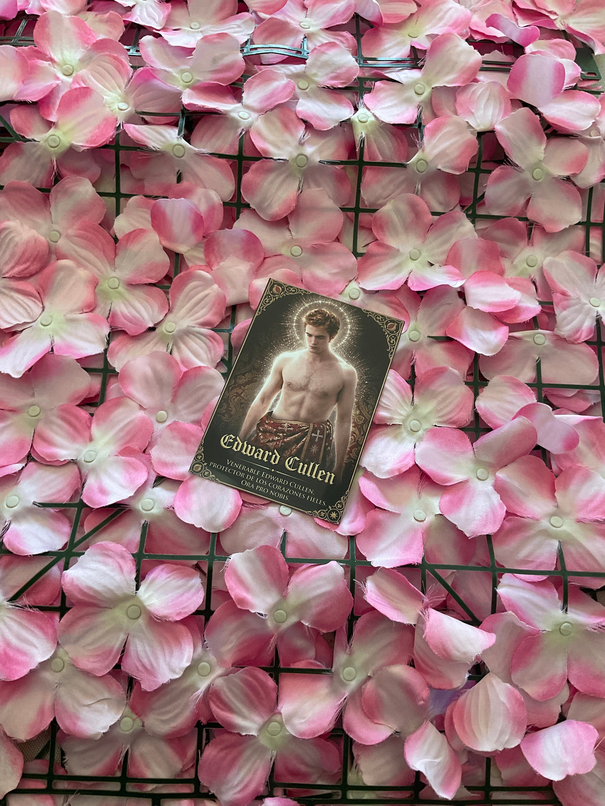 Postal Edward Cullen