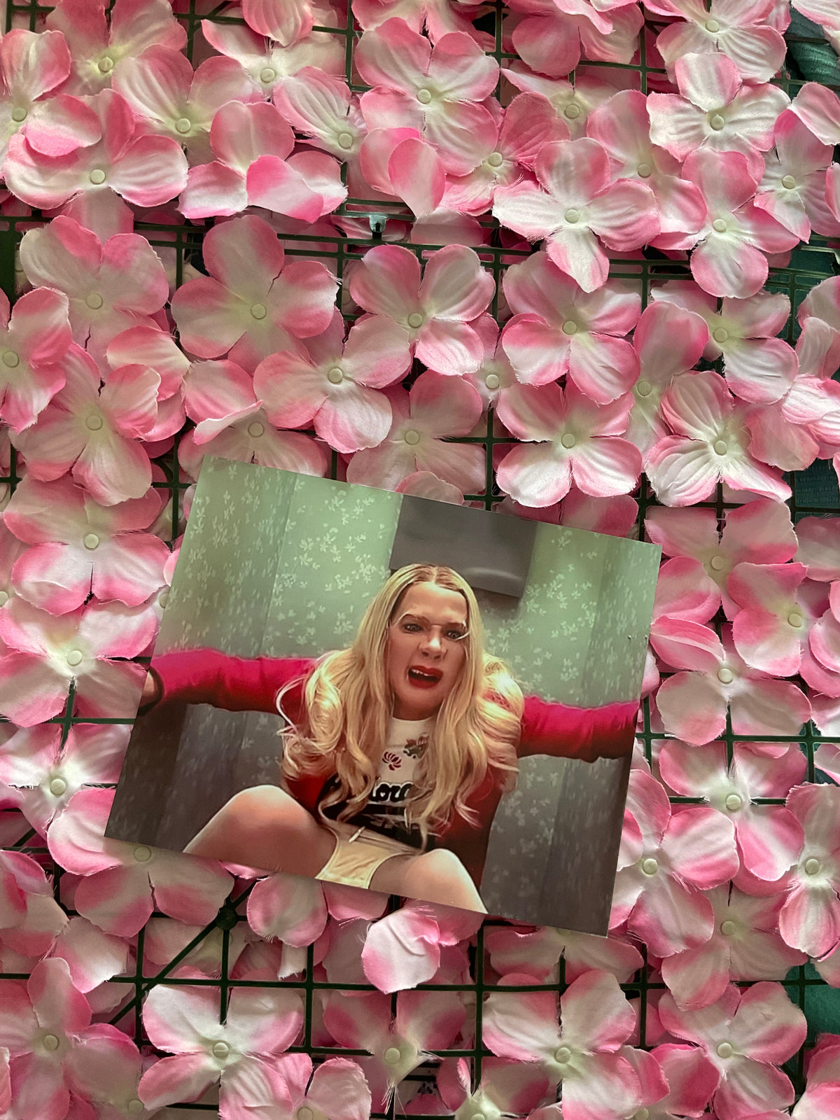 Lámina White Chicks