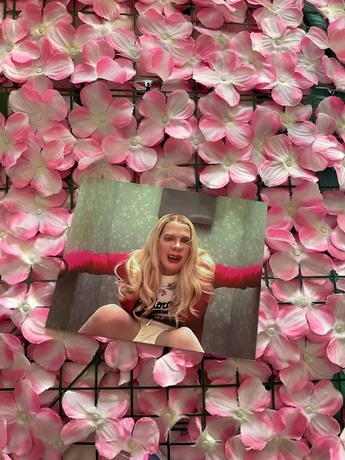 Lámina White Chicks