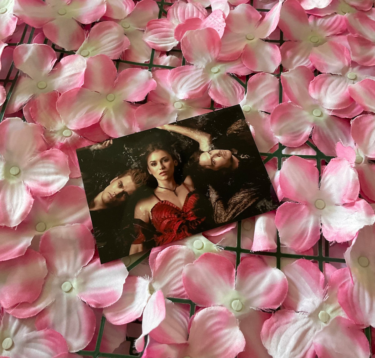 Lámina Postal Vampire Diaries