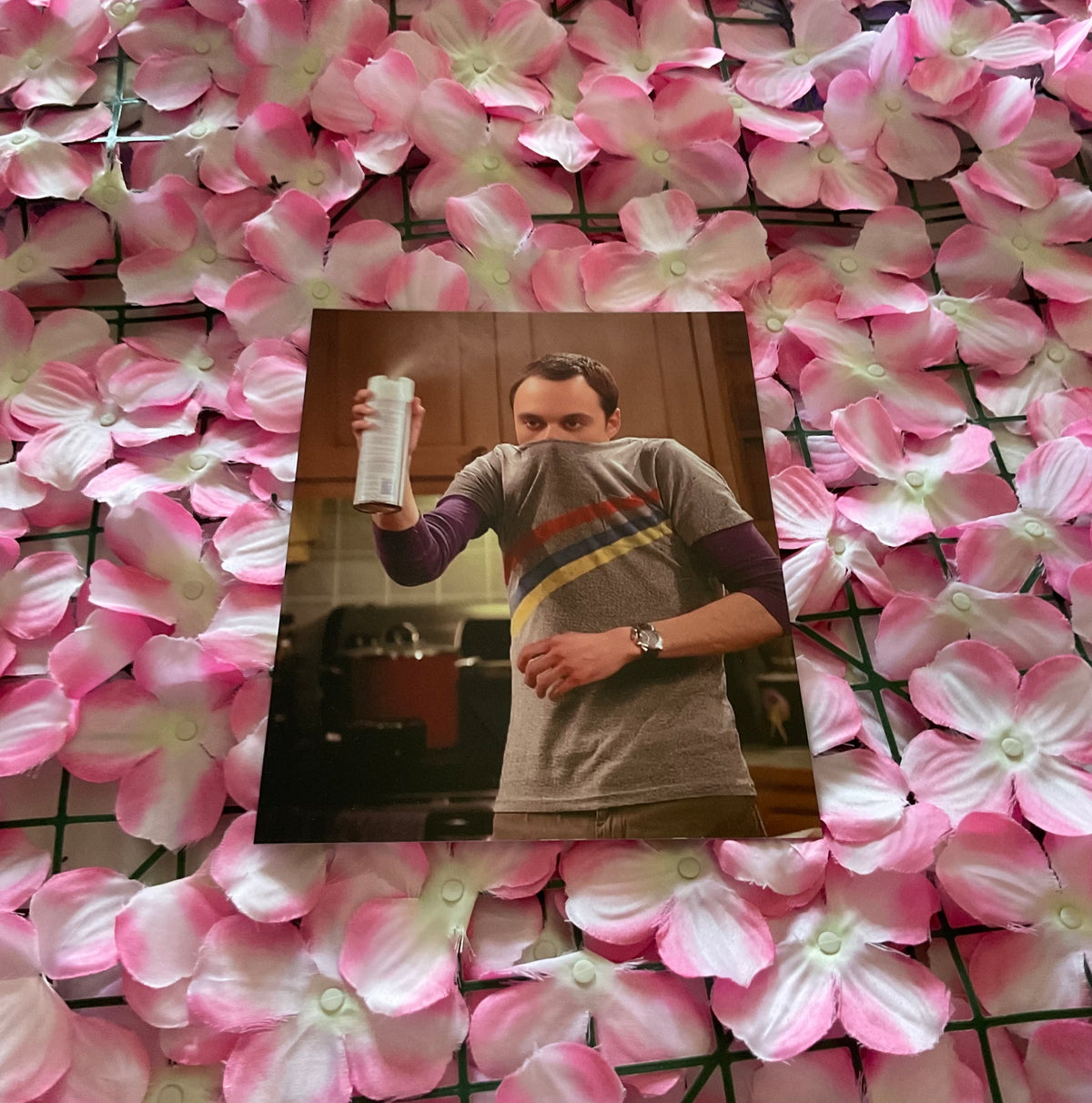 Lámina Sheldon Cooper