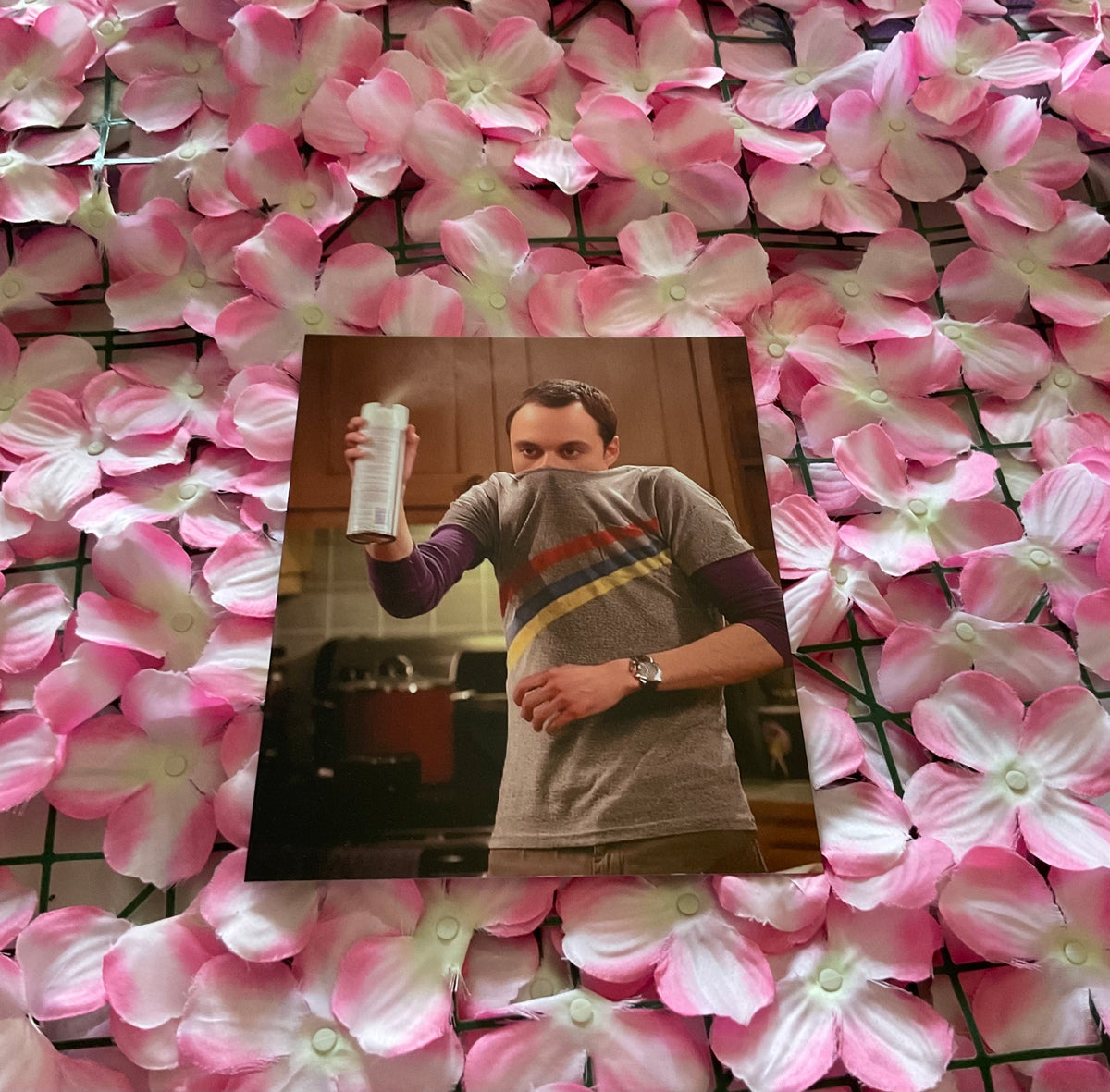 Lámina Sheldon Cooper
