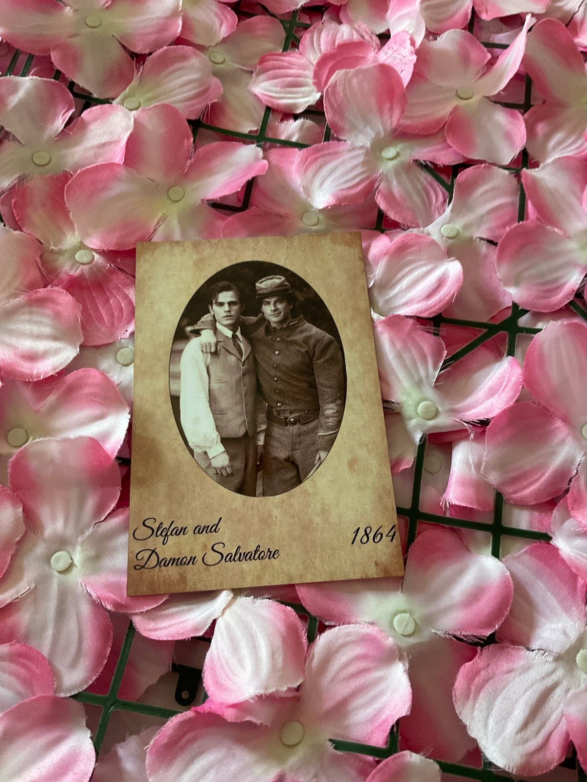 Postal Stefan y Damon Salvatore