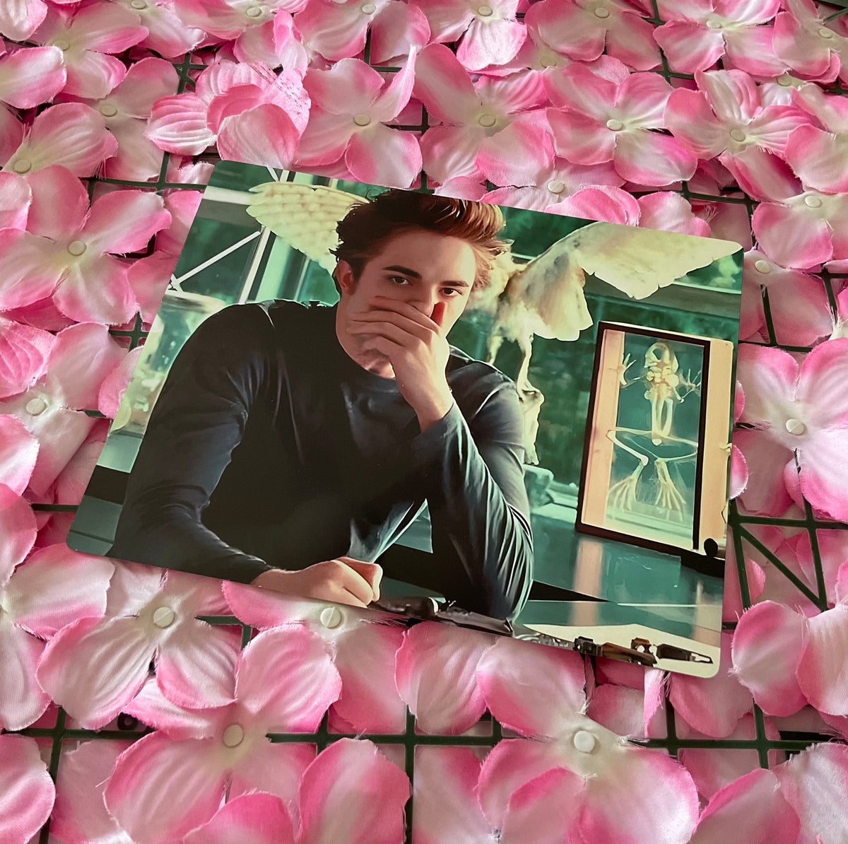 Lámina Edward Cullen