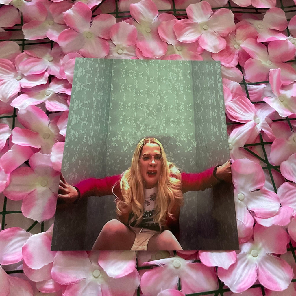 Lámina White Chicks