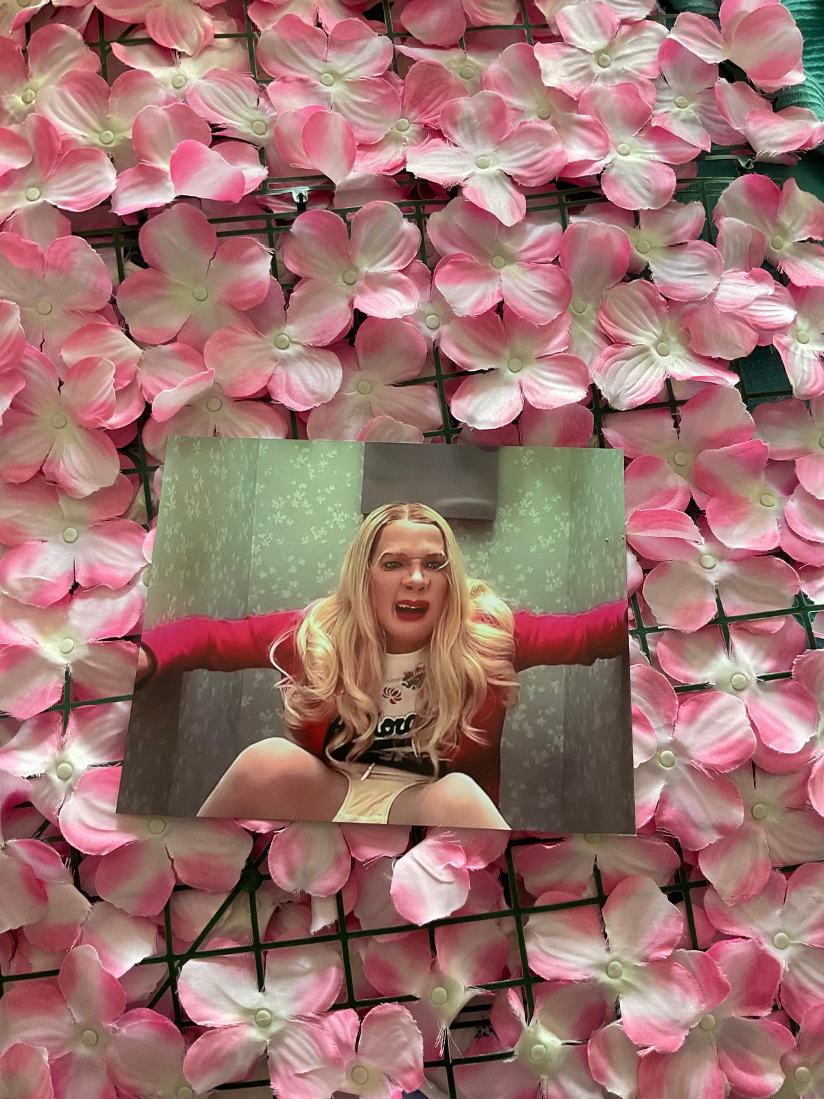 Lámina White Chicks