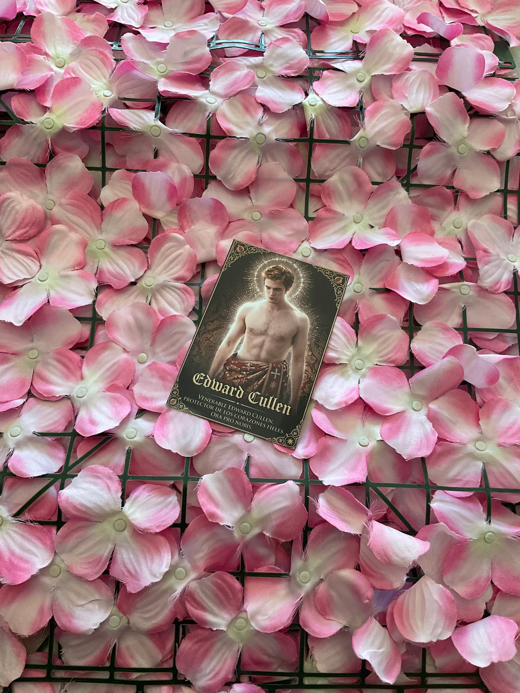 Postal Edward Cullen
