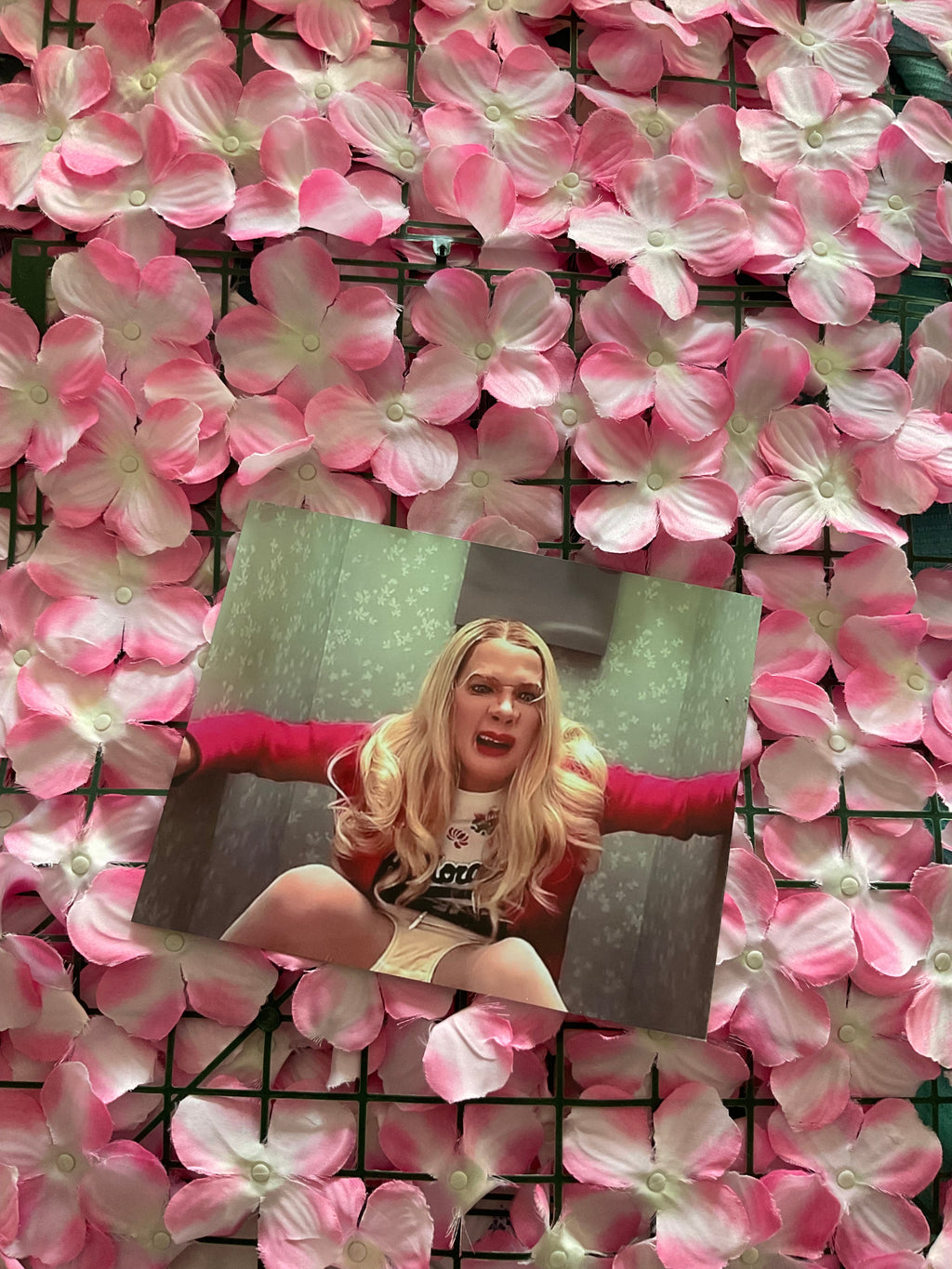 Lámina White Chicks