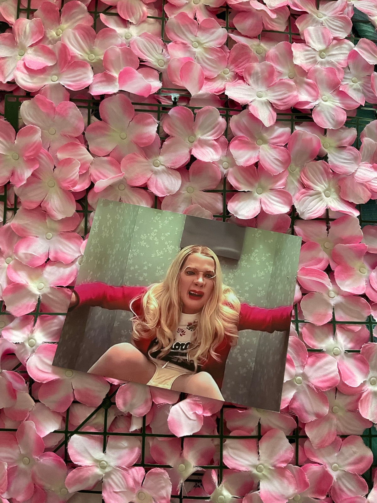 Lámina White Chicks