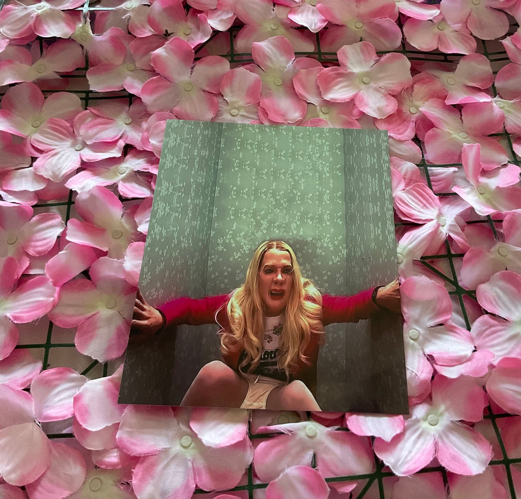 Lámina White Chicks
