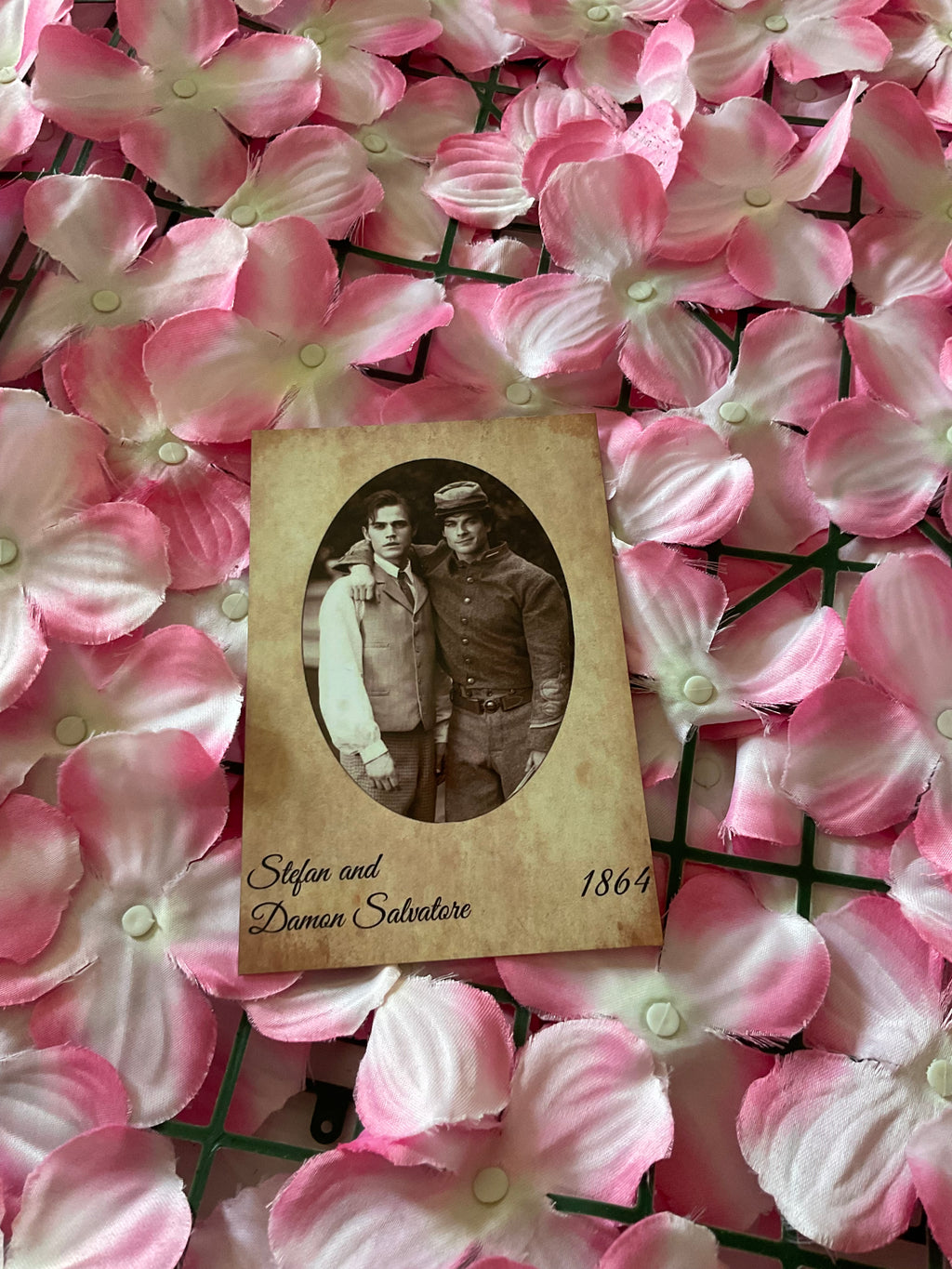 Postal Stefan y Damon Salvatore