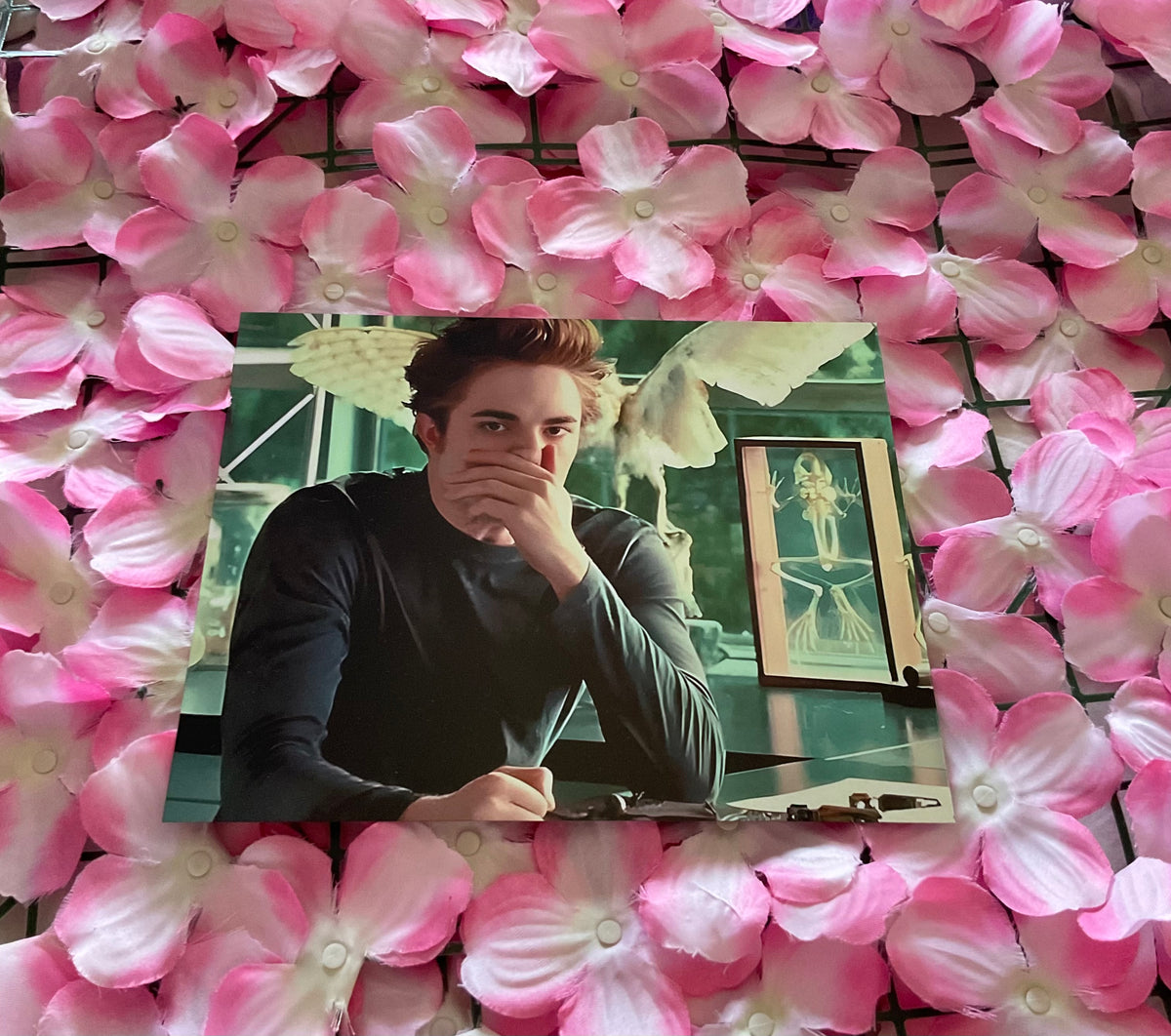 Lámina Edward Cullen