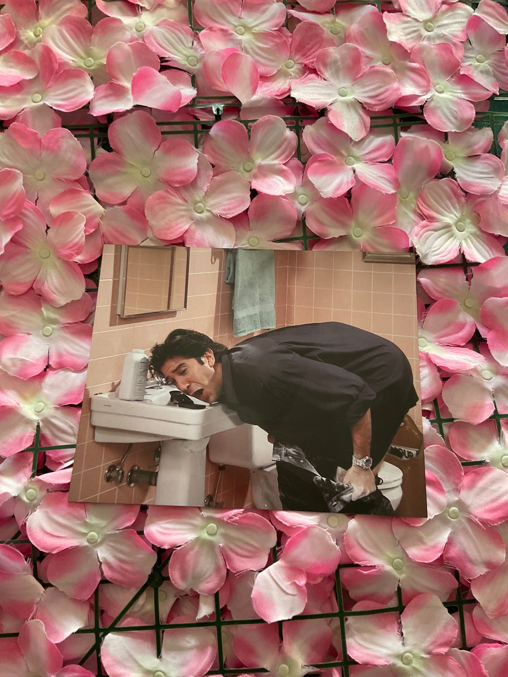 Lámina Ross Geller - Friends