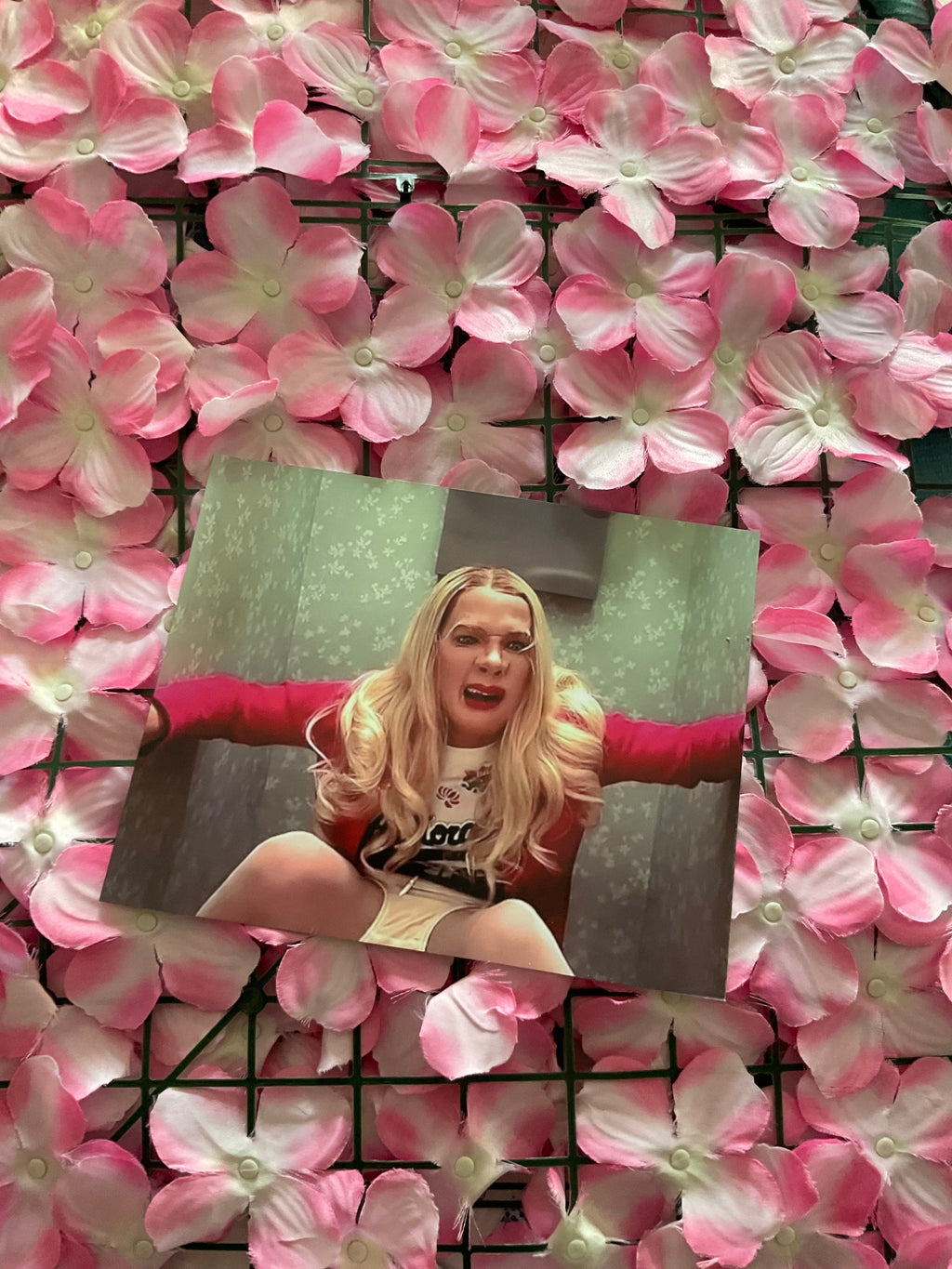 Lámina White Chicks