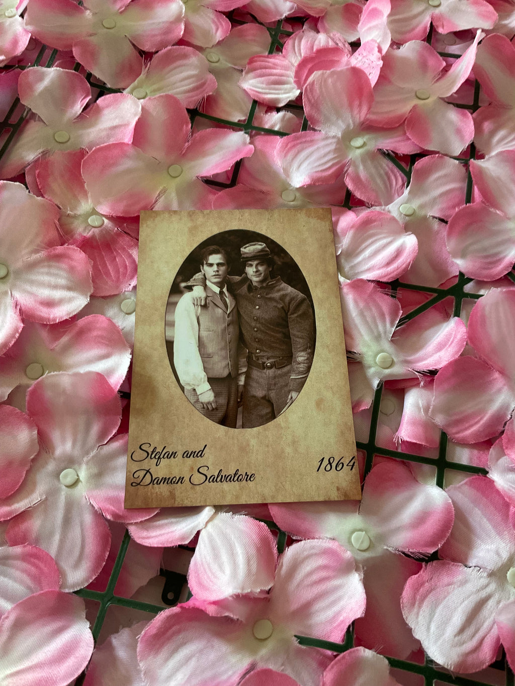 Postal Stefan y Damon Salvatore