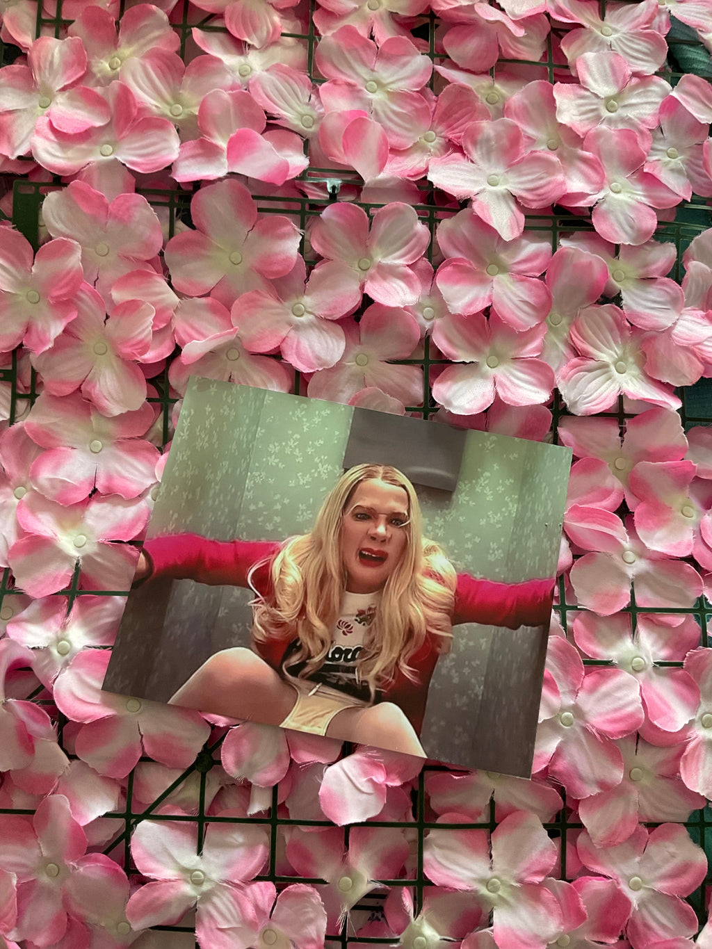 Lámina White Chicks