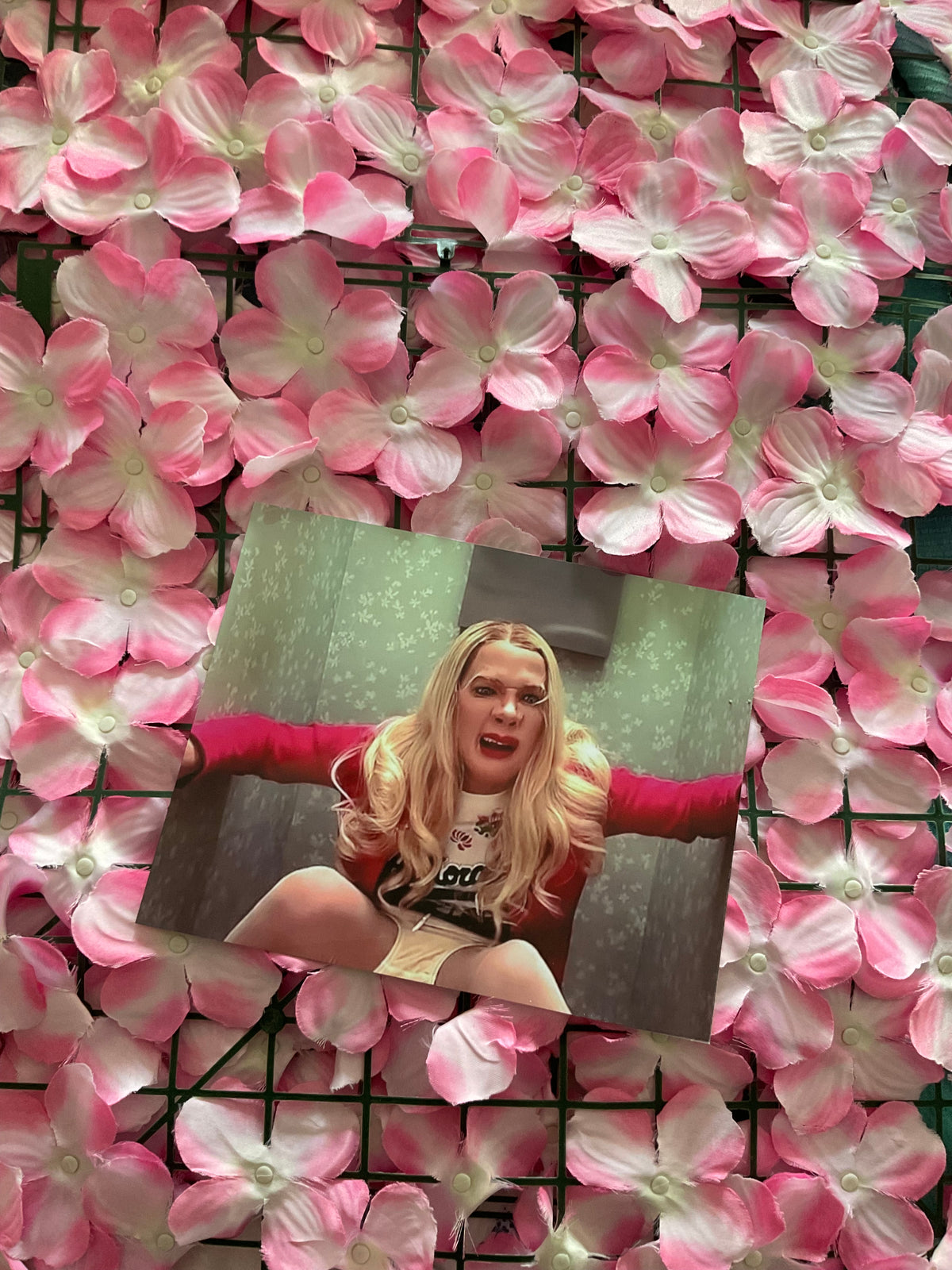 Lámina White Chicks
