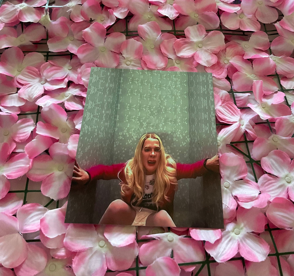 Lámina White Chicks