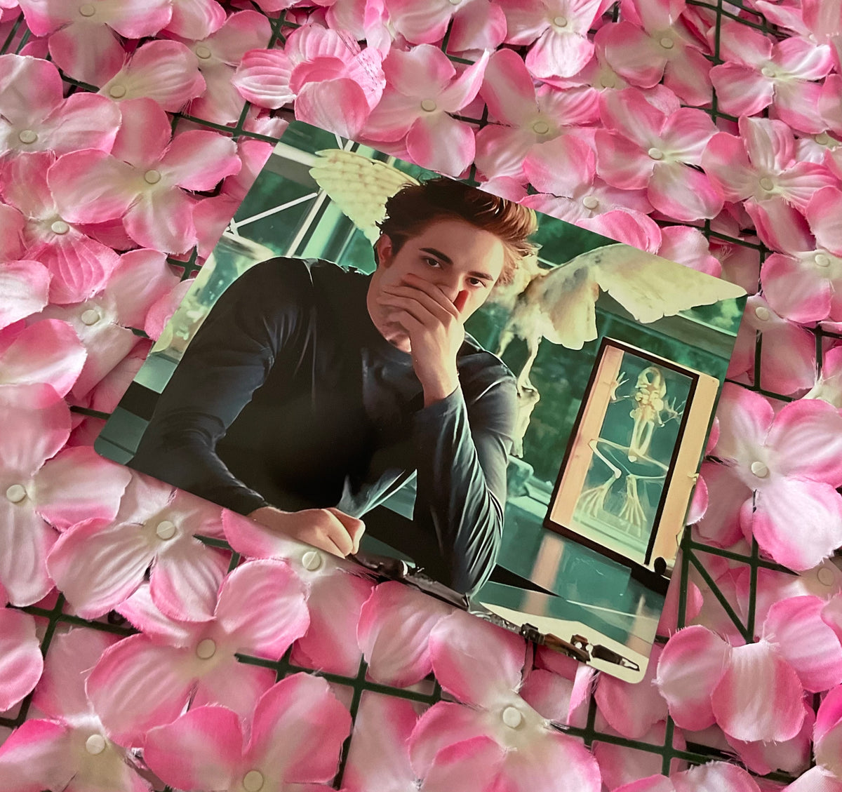 Lámina Edward Cullen