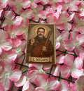 Postal Negan