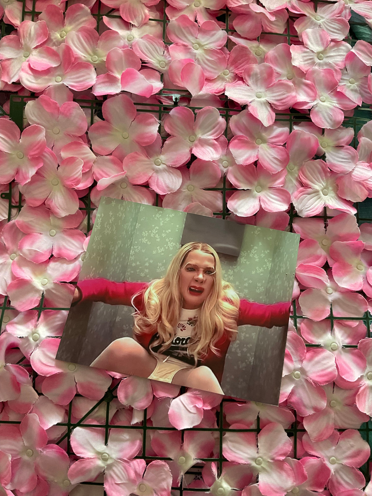 Lámina White Chicks