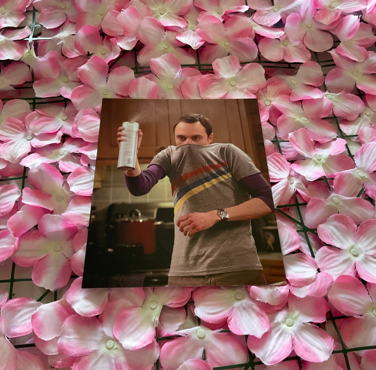 Lámina Sheldon Cooper