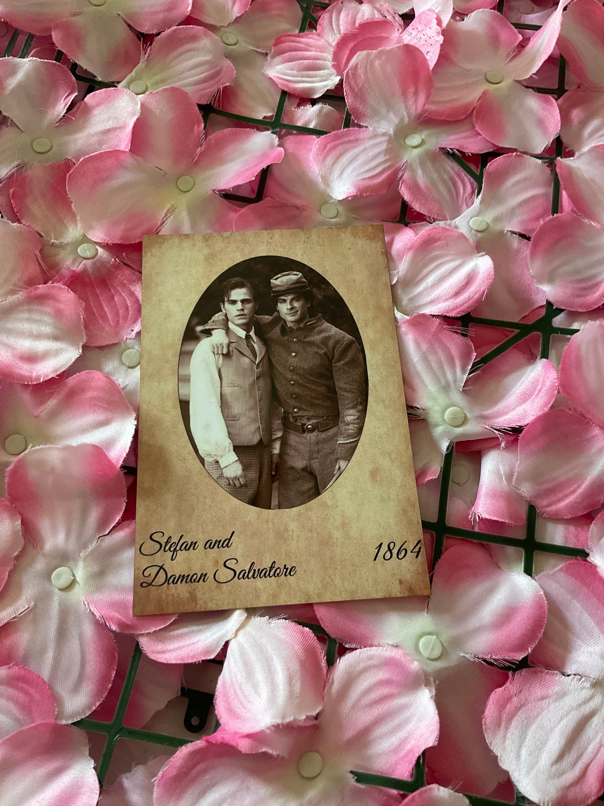 Postal Stefan y Damon Salvatore