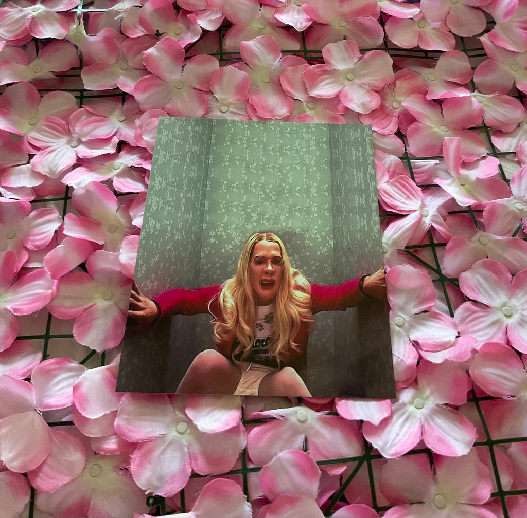 Lámina White Chicks