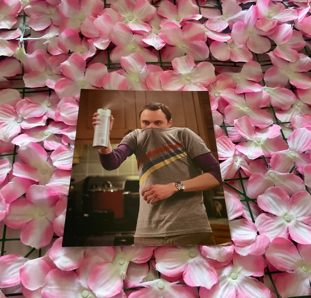 Lámina Sheldon Cooper
