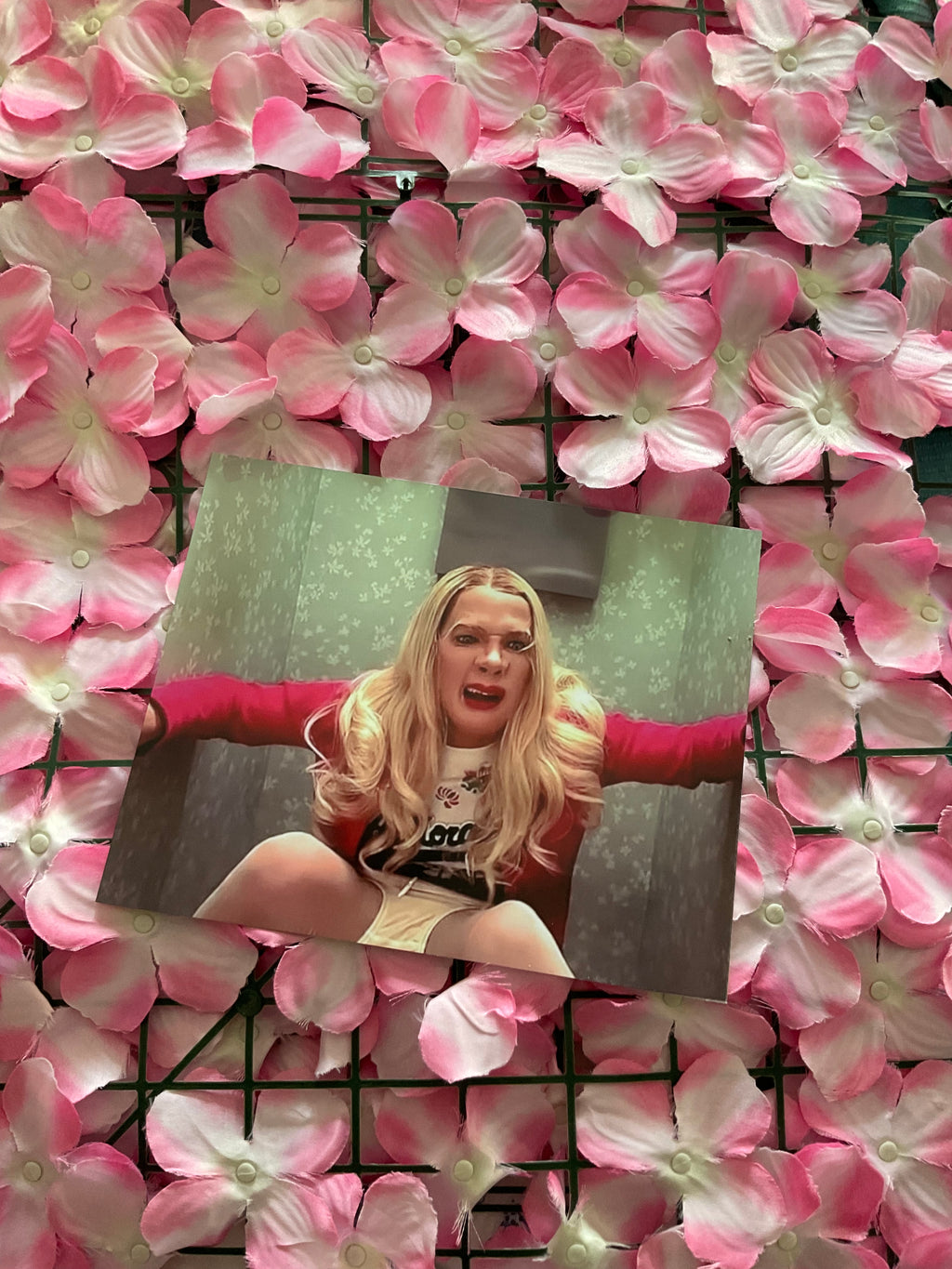 Lámina White Chicks