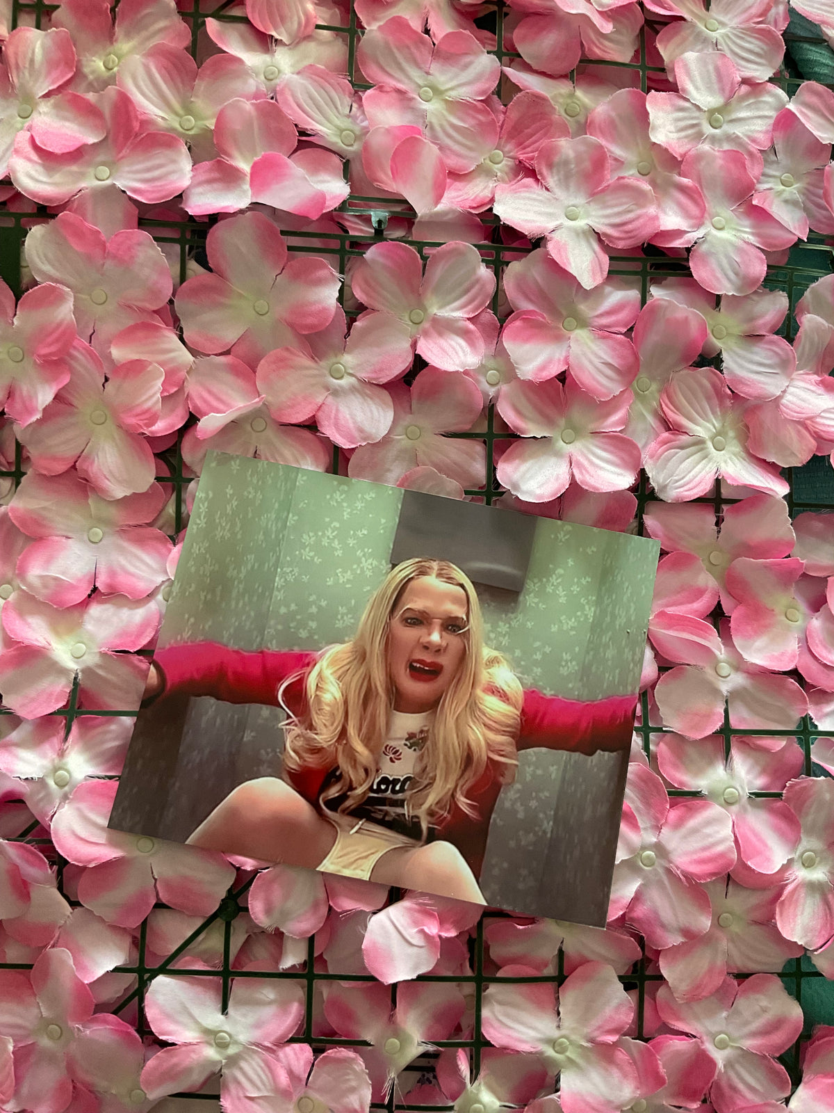 Lámina White Chicks