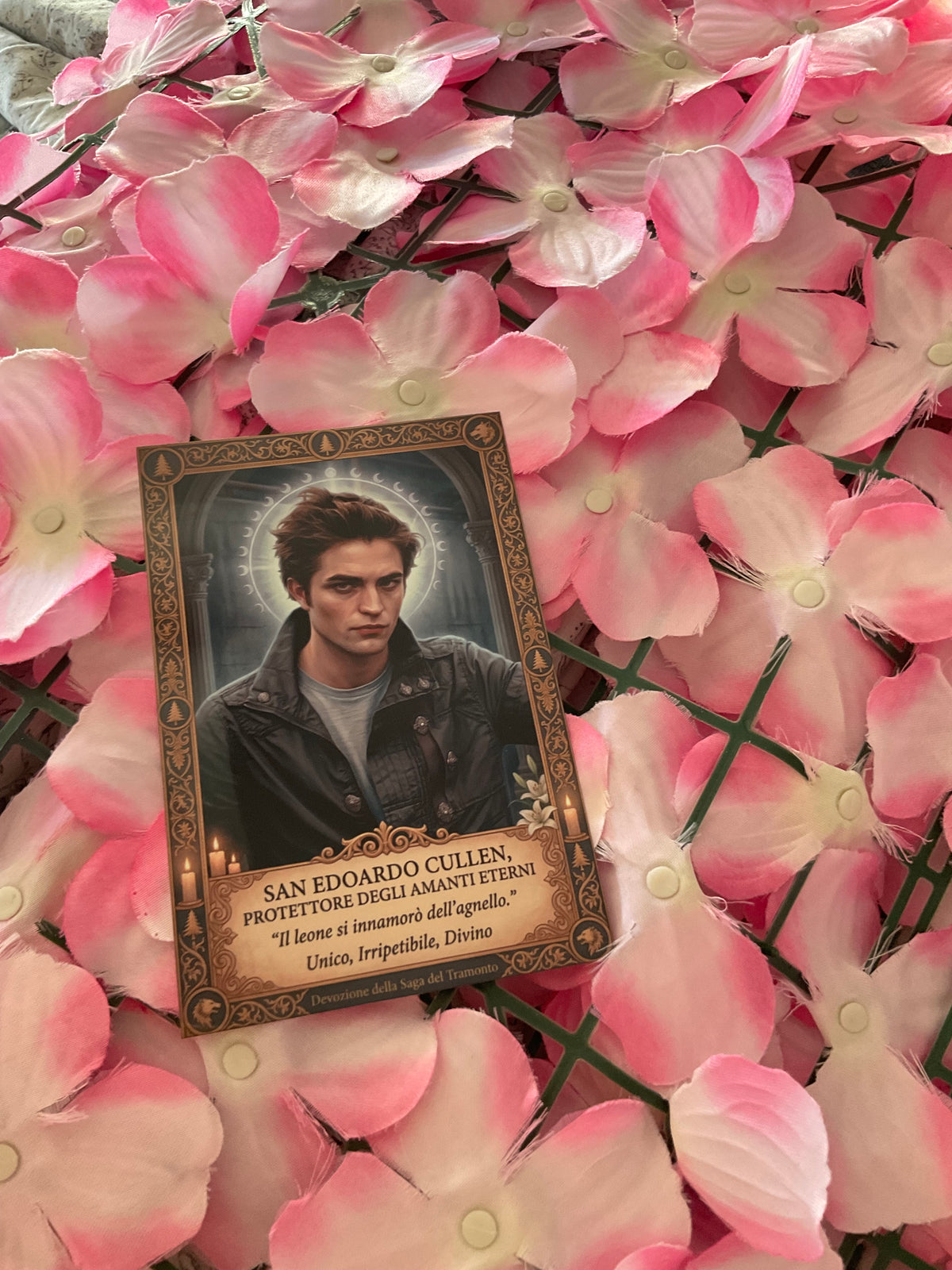 Postal Edward Cullen