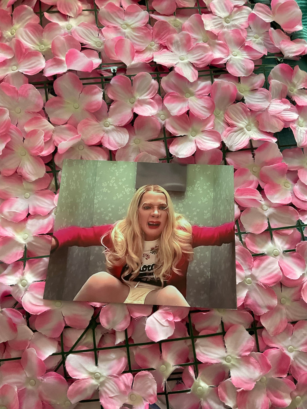 Lámina White Chicks