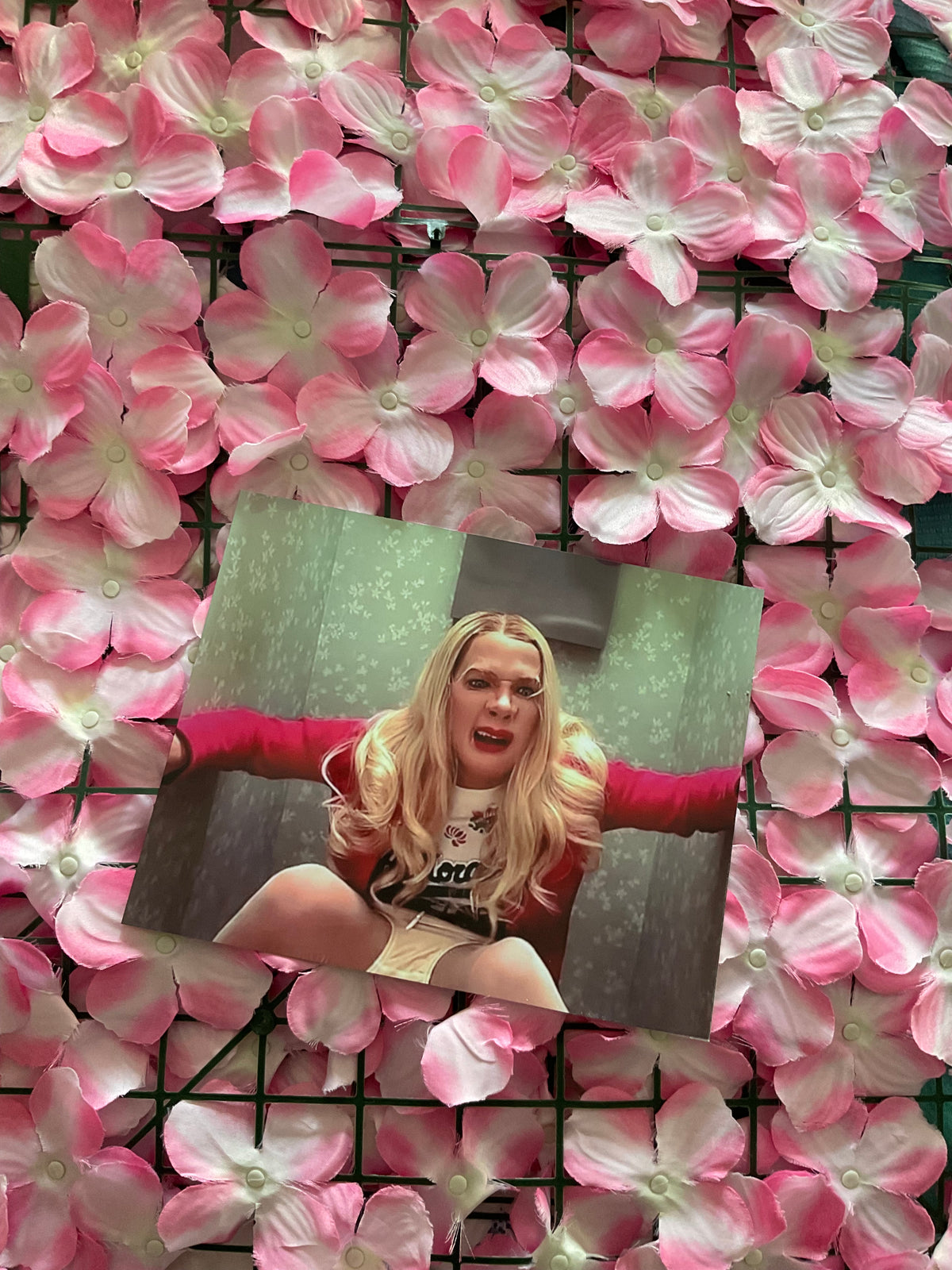 Lámina White Chicks