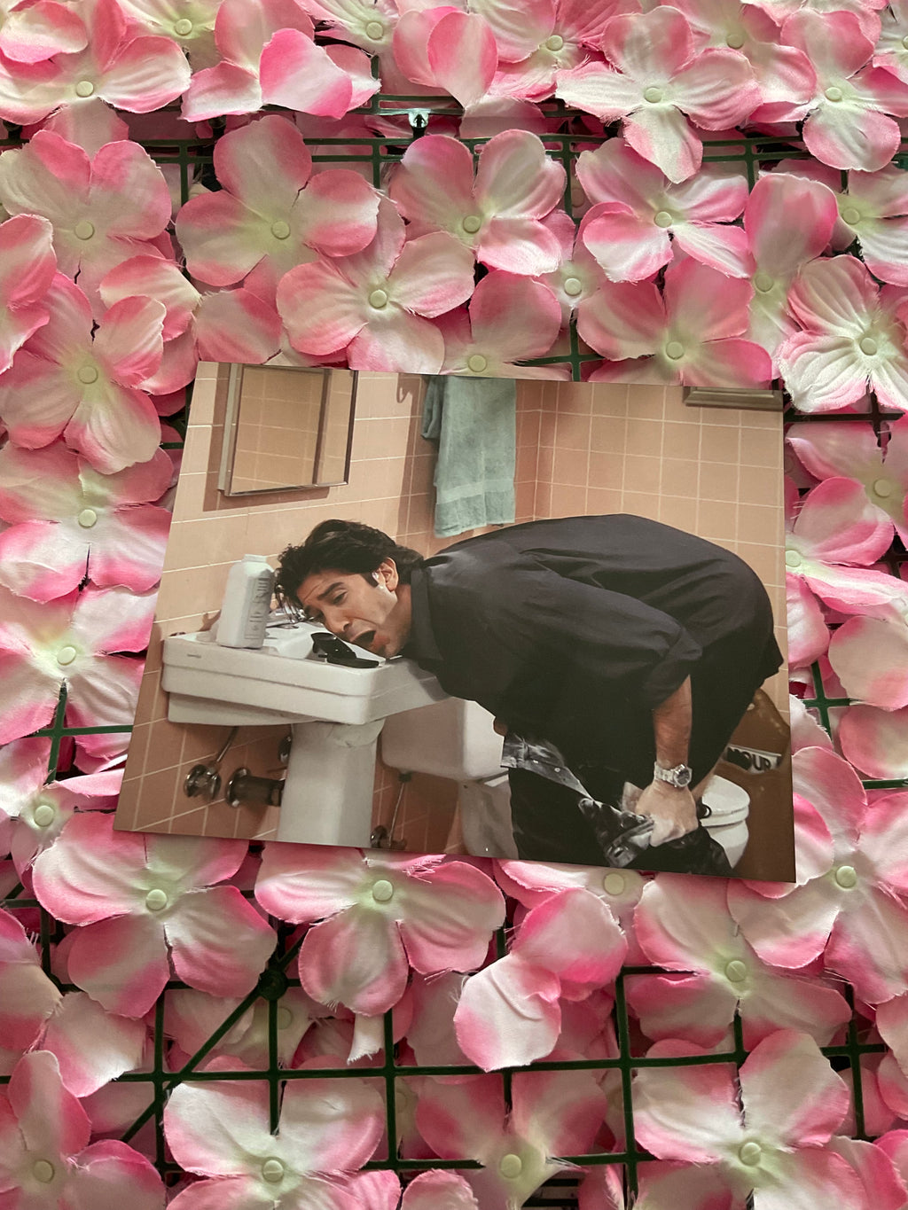 Lámina Ross Geller - Friends