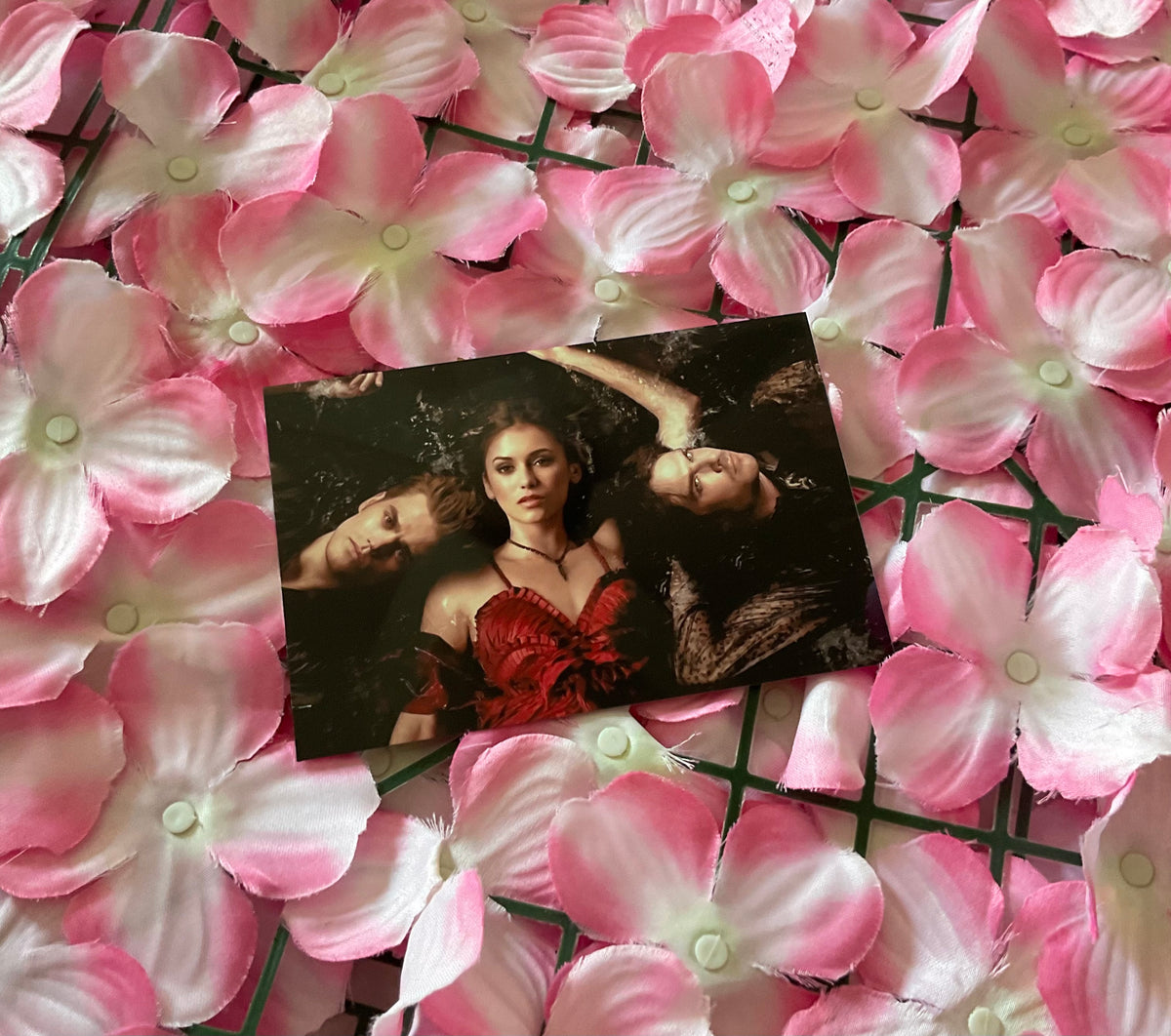 Lámina Postal Vampire Diaries