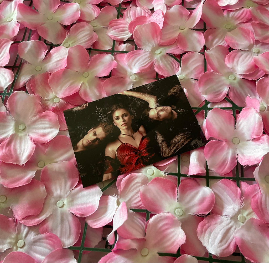 Lámina Postal Vampire Diaries