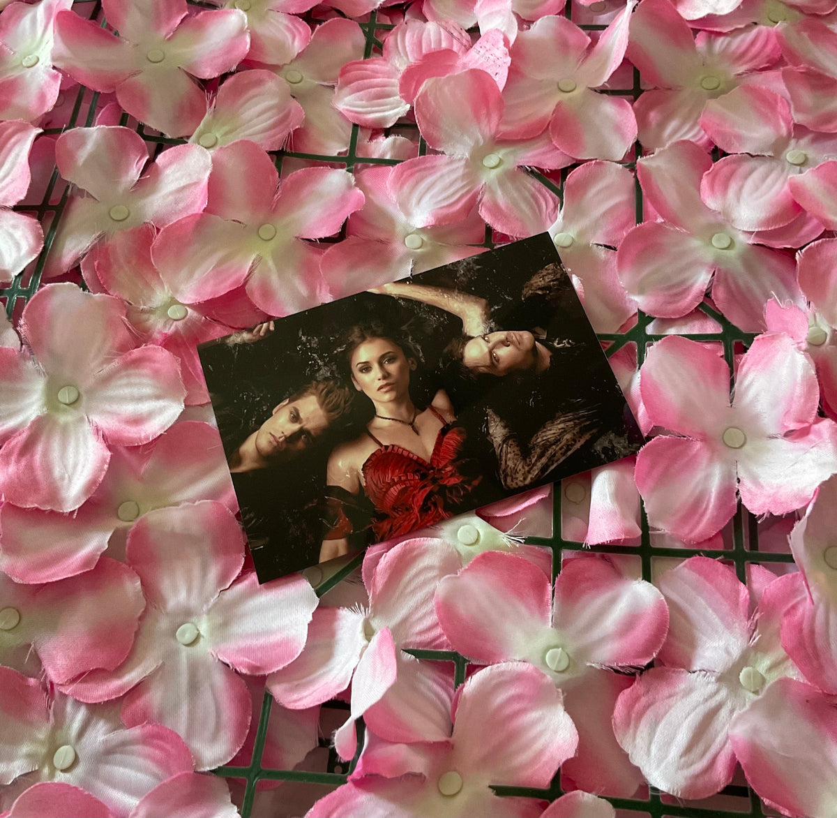 Lámina Postal Vampire Diaries