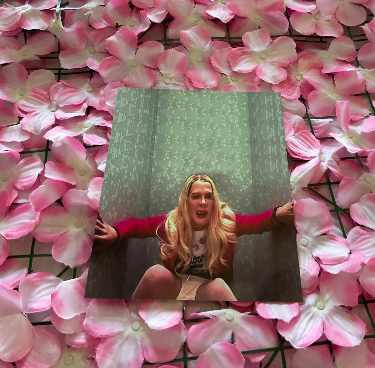 Lámina White Chicks